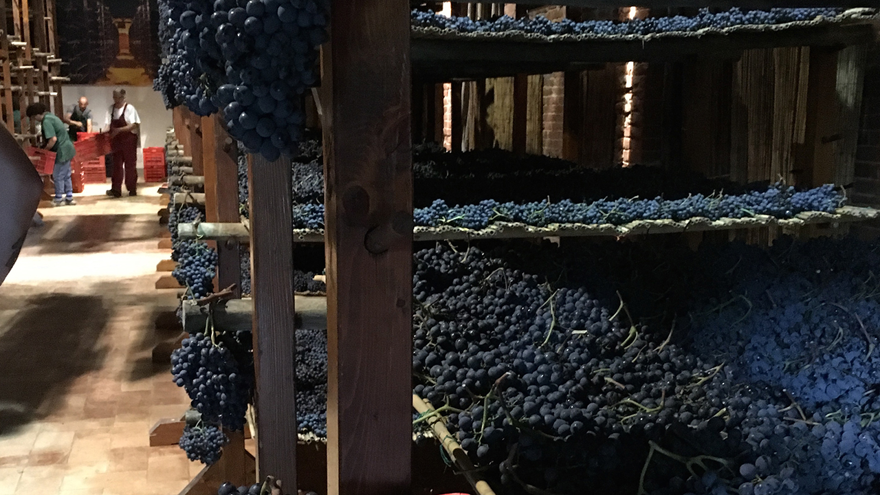 gortoverdegrens-vinsanto.jpg