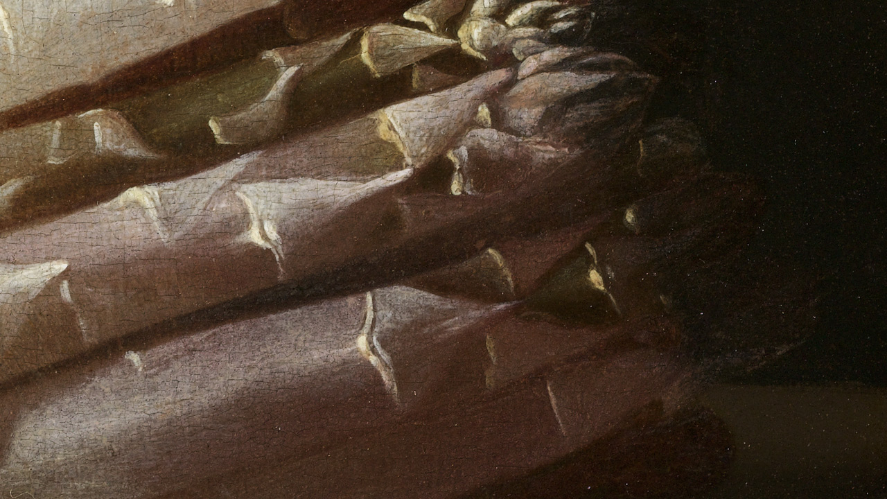 Coorte-Asperges-Detail-Paars.jpg