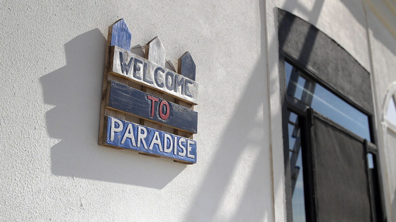 IV-David-Gine-paradise.jpg