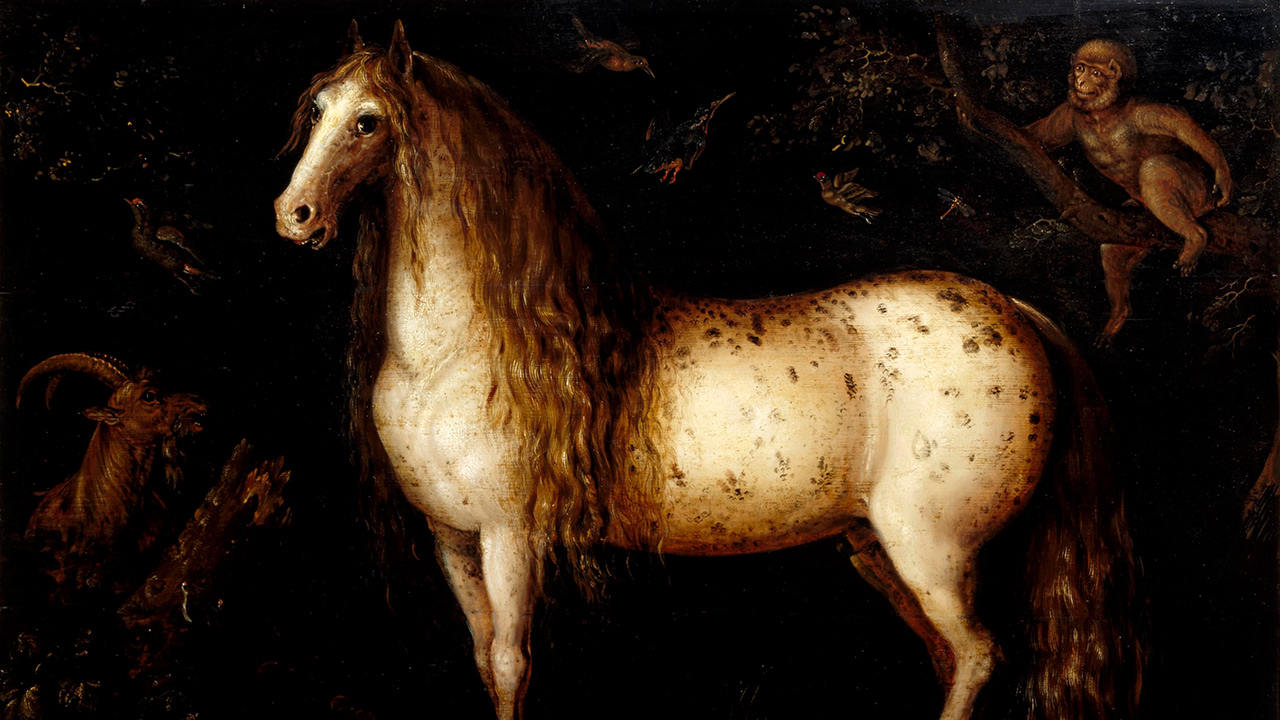 Roelant-Saverij-1280-De-appelschimmel.jpg