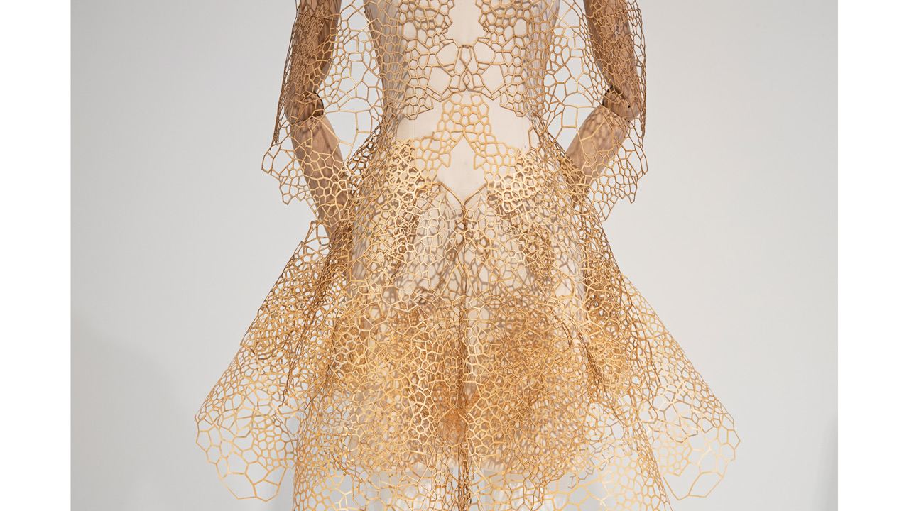 lace_iris.jpg