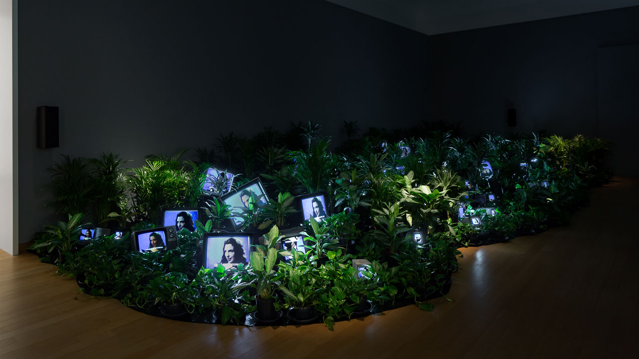 nam-june-paik---tv-garden.jpg