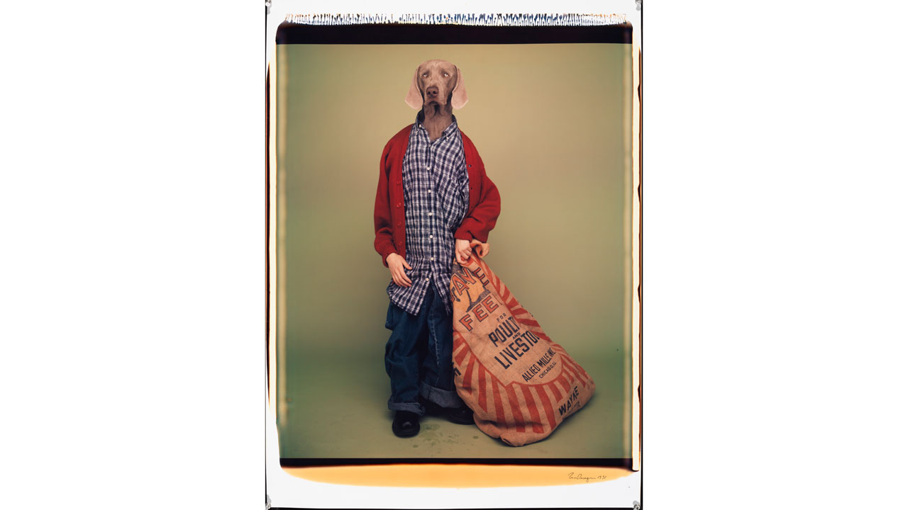wegman---farmboy.jpg