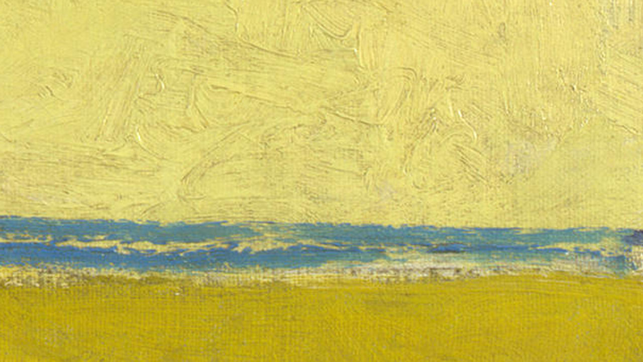 detail-zonnebloemen.jpg