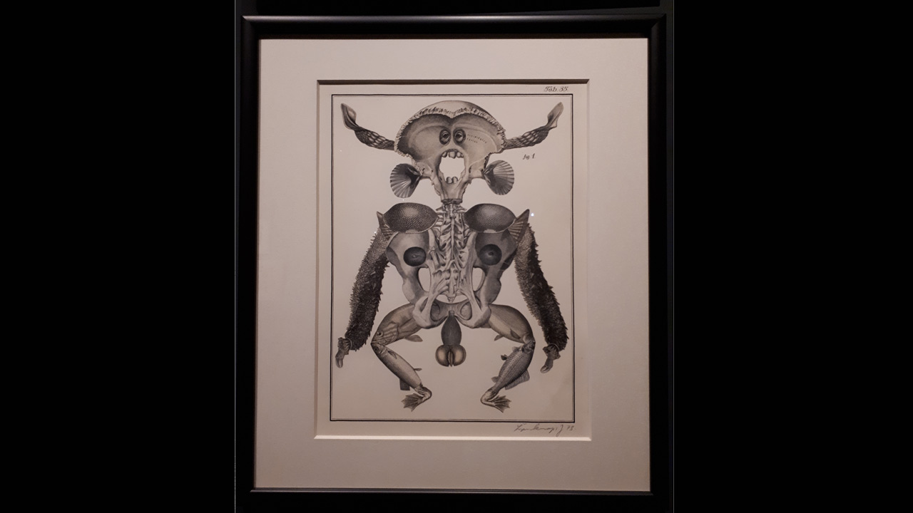 Svankmajer_Bilderlexikon.jpg