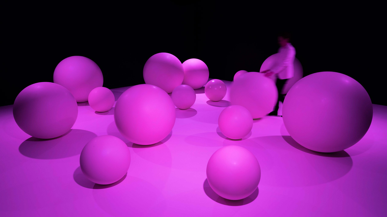 daan_roosegaarde_bollenroze.jpg