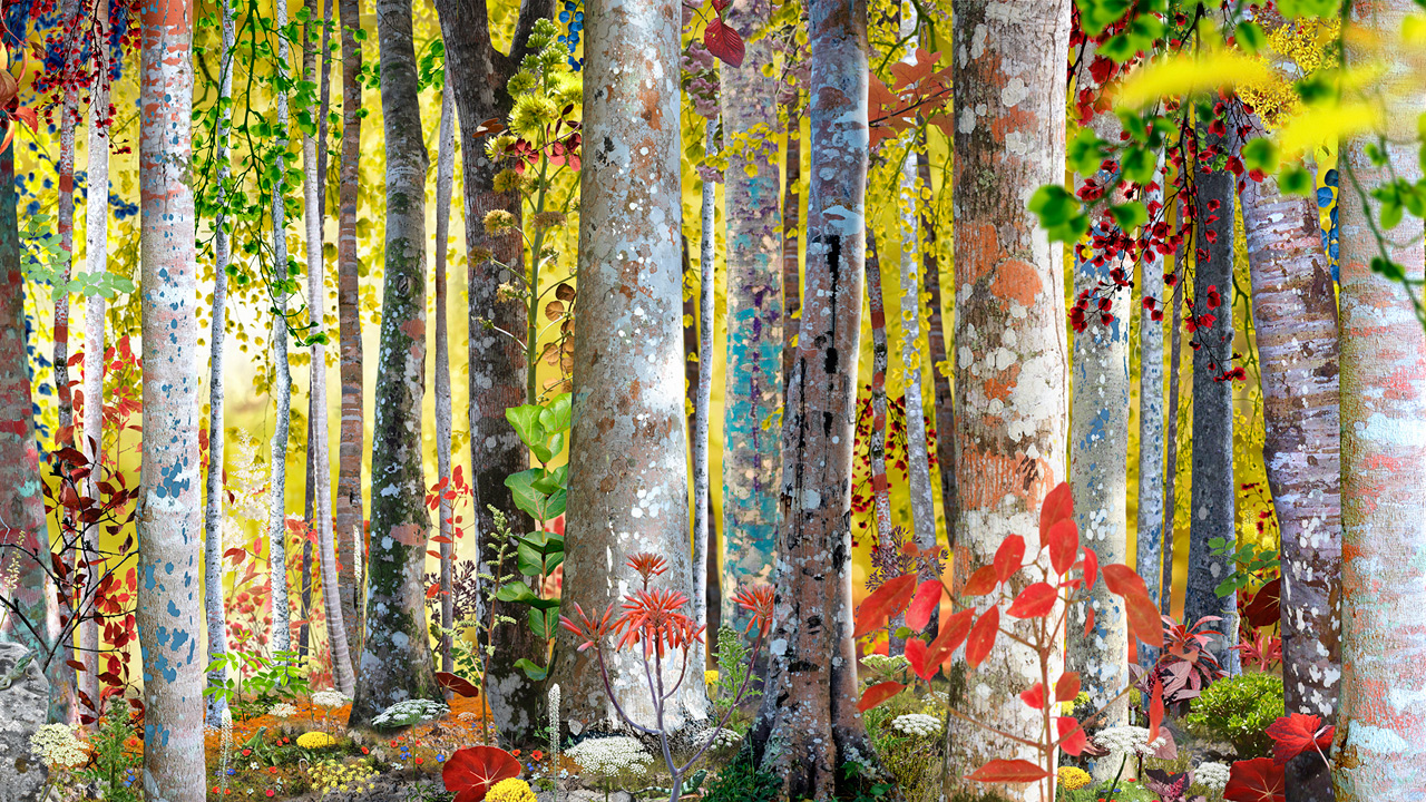 ruud_van_empel_bos.jpg