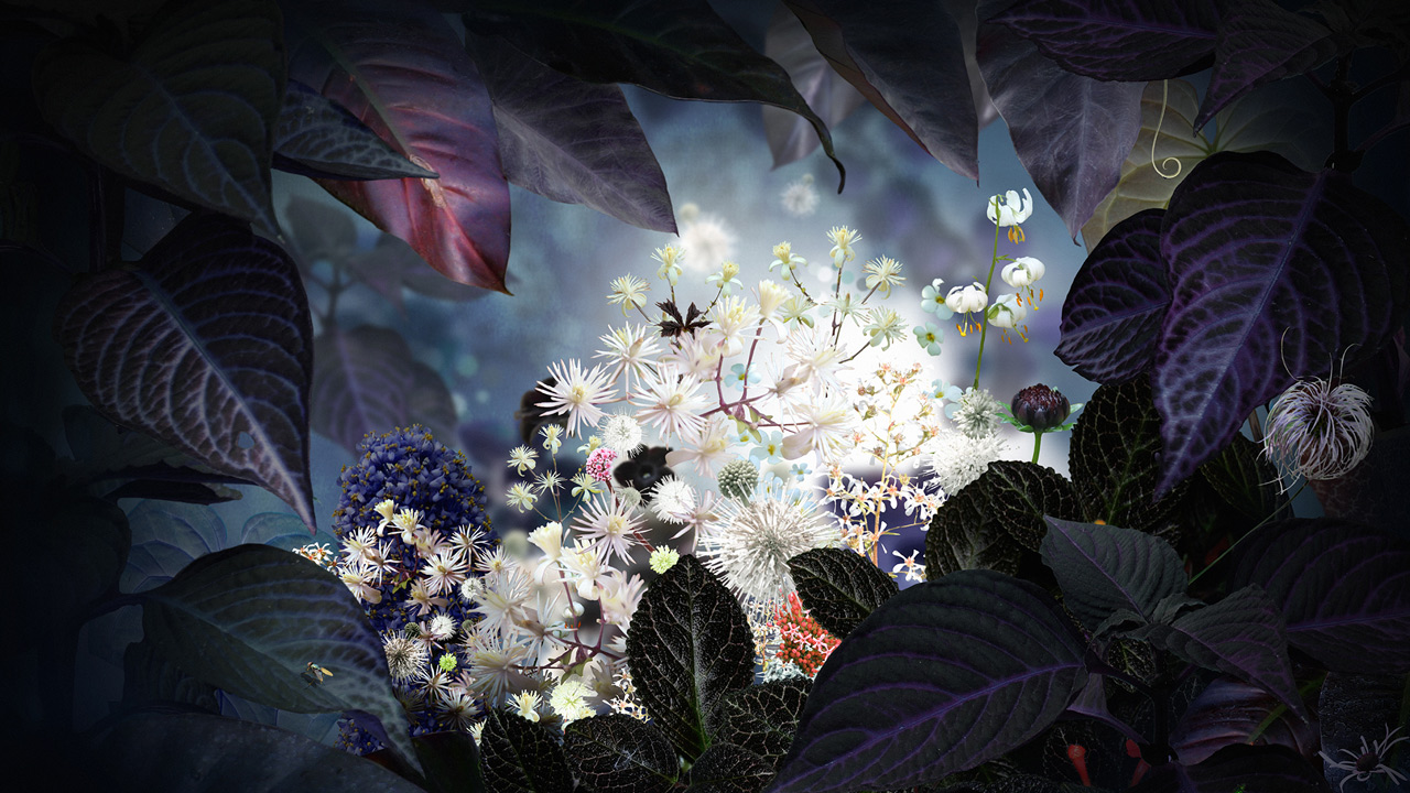 ruud_van_empel_floranegra.jpg