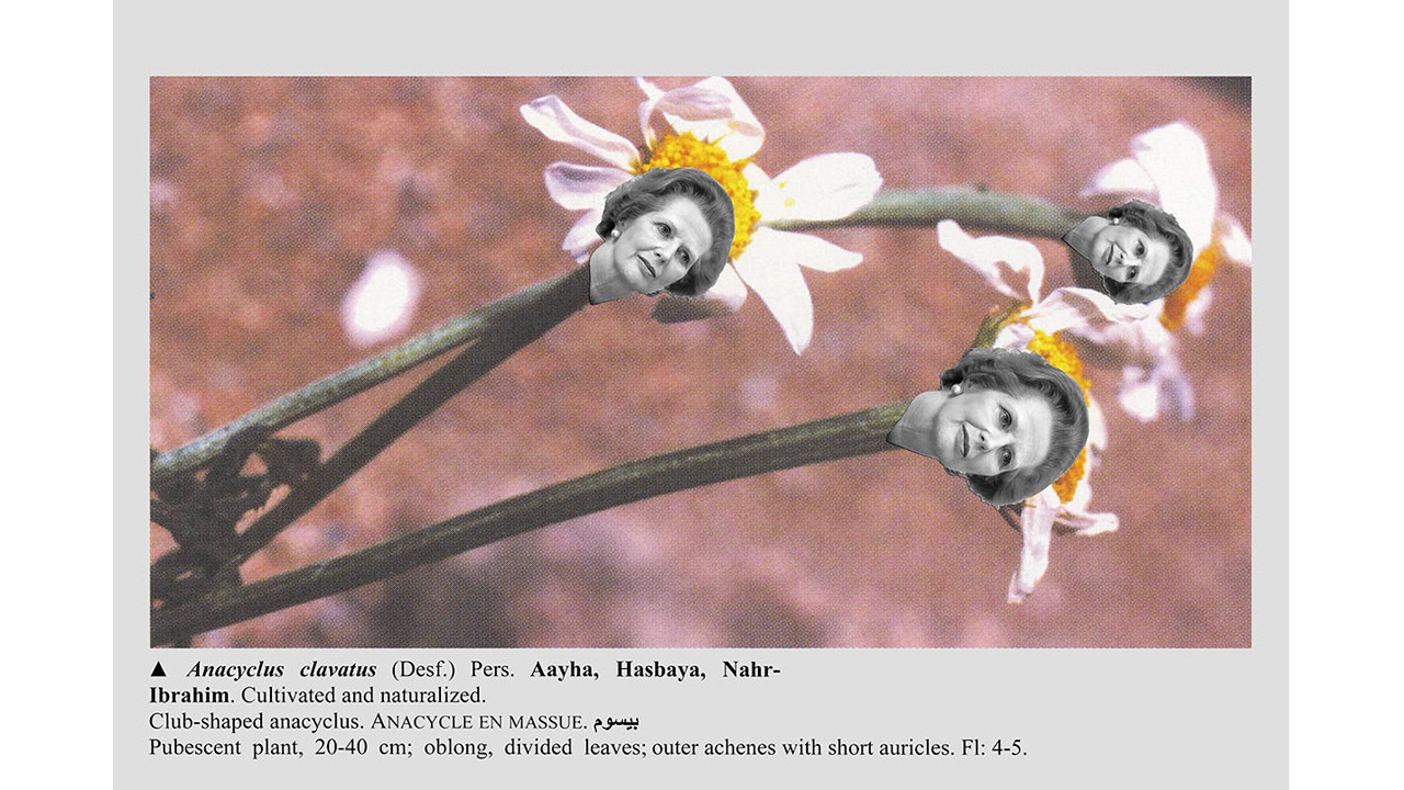 walid_raad_botanisch.jpg