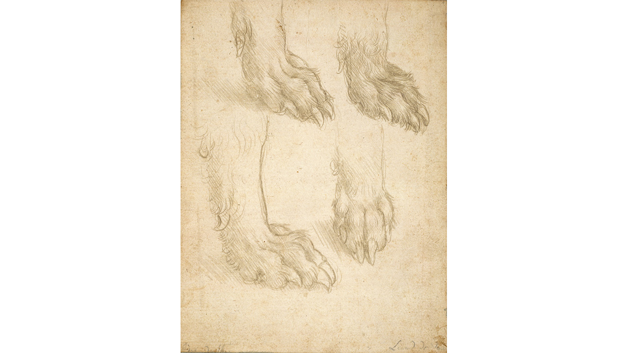 Hondenpoten-Leonardo-Da-Vinci.jpg