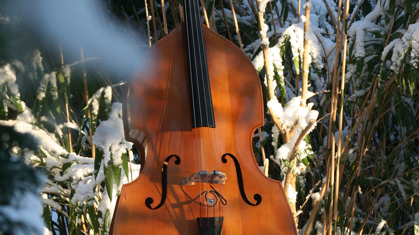 Скрипка. Виолончель на природе. Скрипка на снегу. Зимняя скрипка. Весенняя скрипка